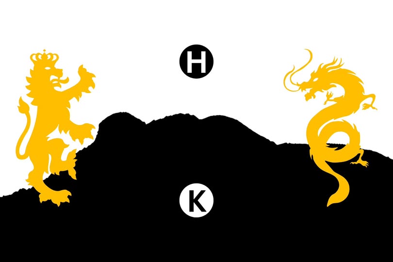Hong Kong Flag by Lee Yeuk