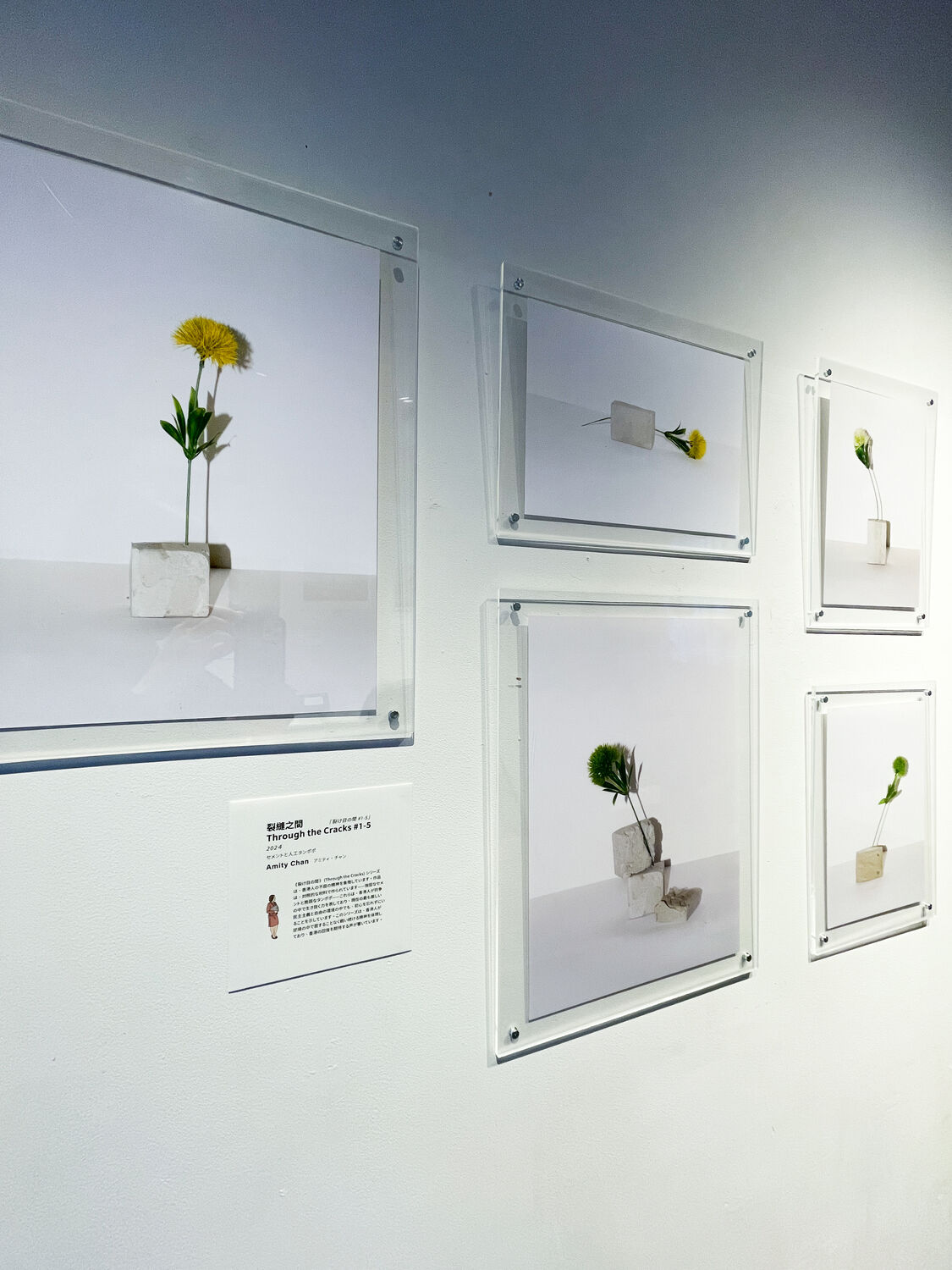 2nd Hong Kong Liberty Art Prize — Entry Works Exhibition, Tokyo — 4 of 24