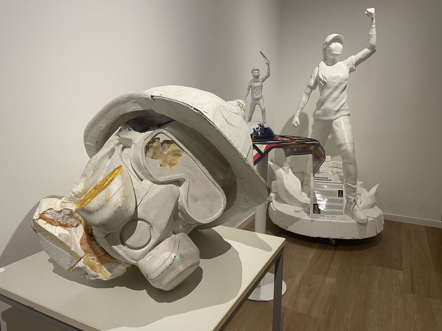 Resonance of Democracy — Facets • Perspectives • Voices